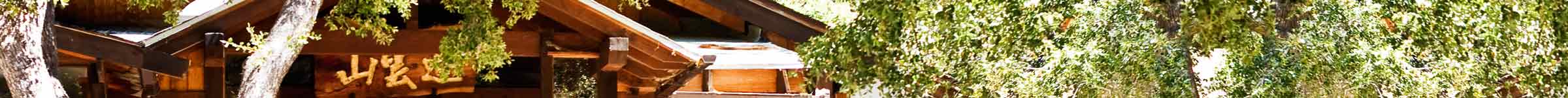 image of buddha hall and trees